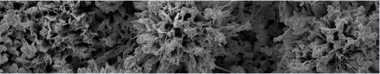 IEEE 16th International Conference Nanomaterials: Applications & Properties (NAP)